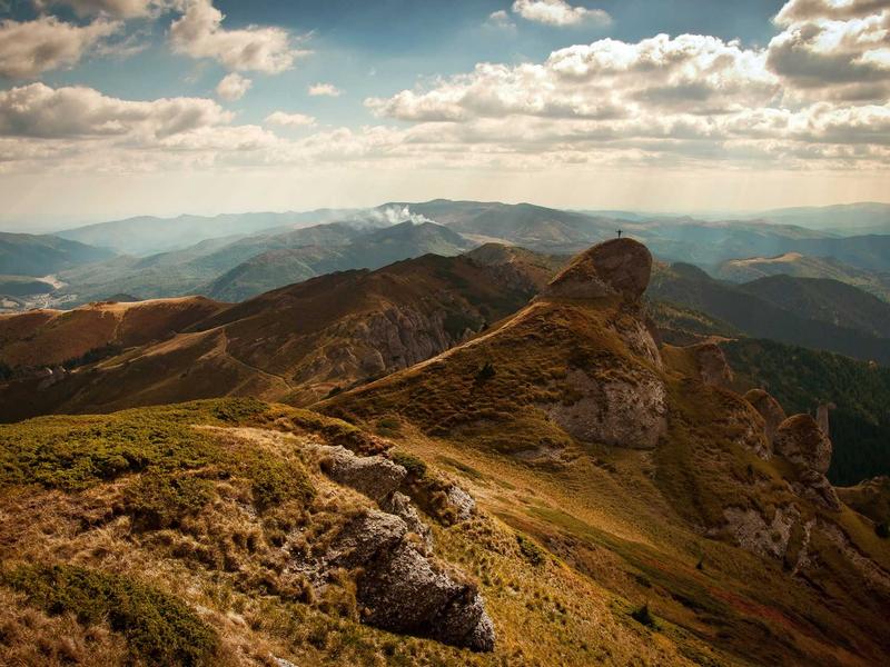 周末农夫<br>dxiixch.cn 阳台种菜指南